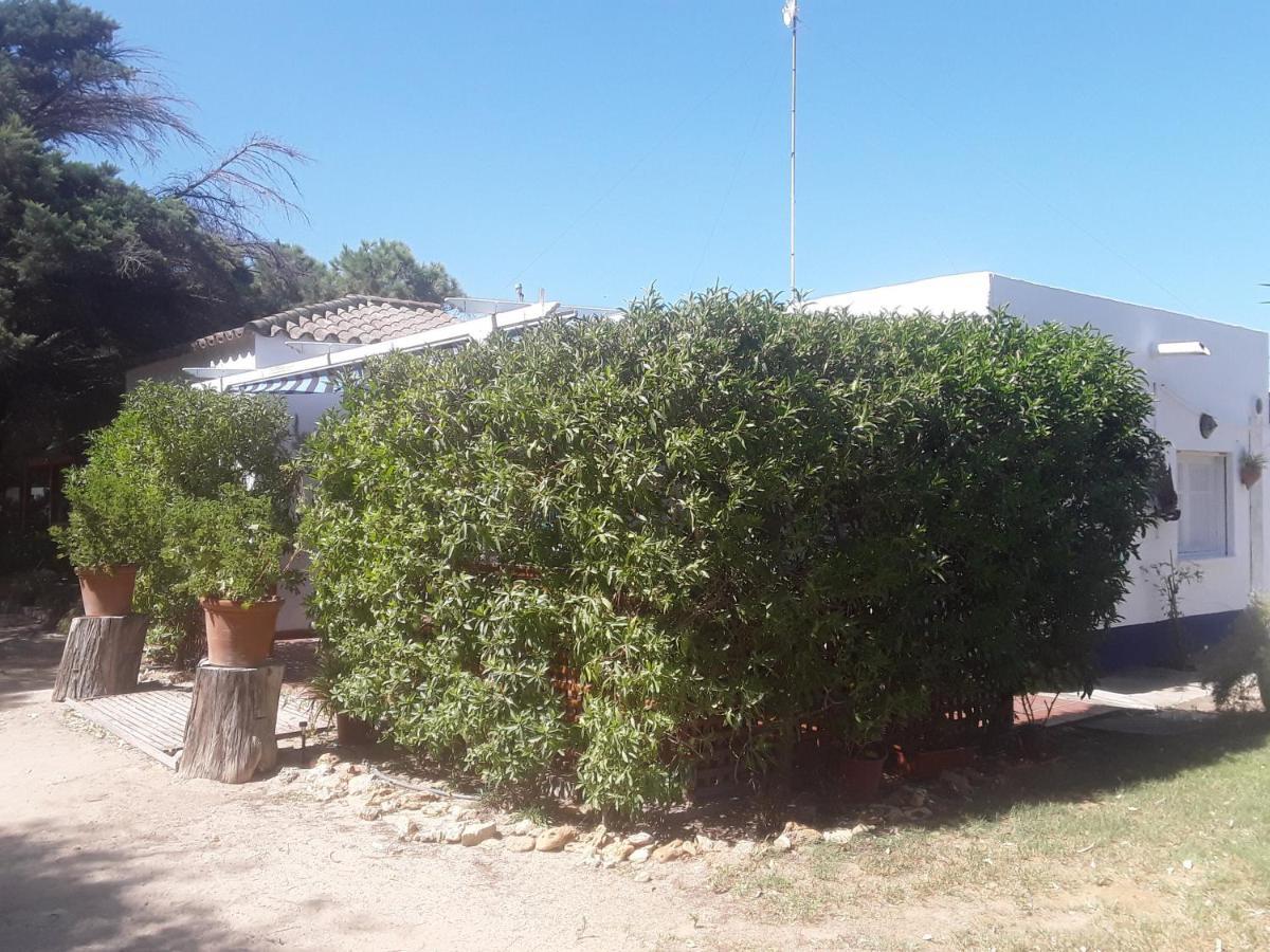 En Finca Las Dunas Dos Chalets Con Jacuzzis En Primera Linea De Playa , Uno De 4 Dormitorios Y Otro De 2 Dormitorios, Llama Al Seiscientos Veintisiete Cuatrocientos Diecisiete Trescientos Noventa Y Ocho Рота Экстерьер фото