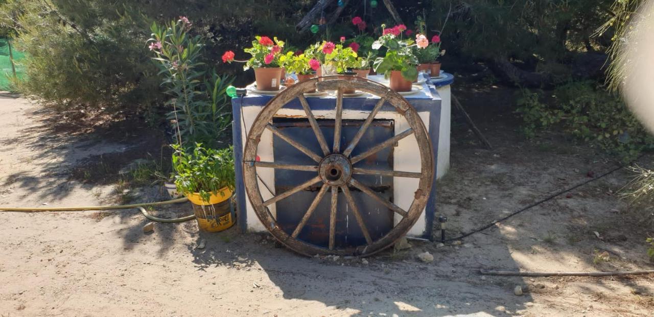 En Finca Las Dunas Dos Chalets Con Jacuzzis En Primera Linea De Playa , Uno De 4 Dormitorios Y Otro De 2 Dormitorios, Llama Al Seiscientos Veintisiete Cuatrocientos Diecisiete Trescientos Noventa Y Ocho Рота Экстерьер фото