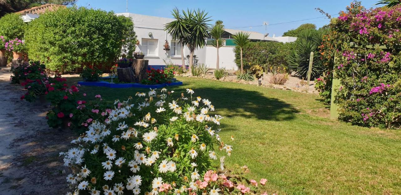 En Finca Las Dunas Dos Chalets Con Jacuzzis En Primera Linea De Playa , Uno De 4 Dormitorios Y Otro De 2 Dormitorios, Llama Al Seiscientos Veintisiete Cuatrocientos Diecisiete Trescientos Noventa Y Ocho Рота Экстерьер фото