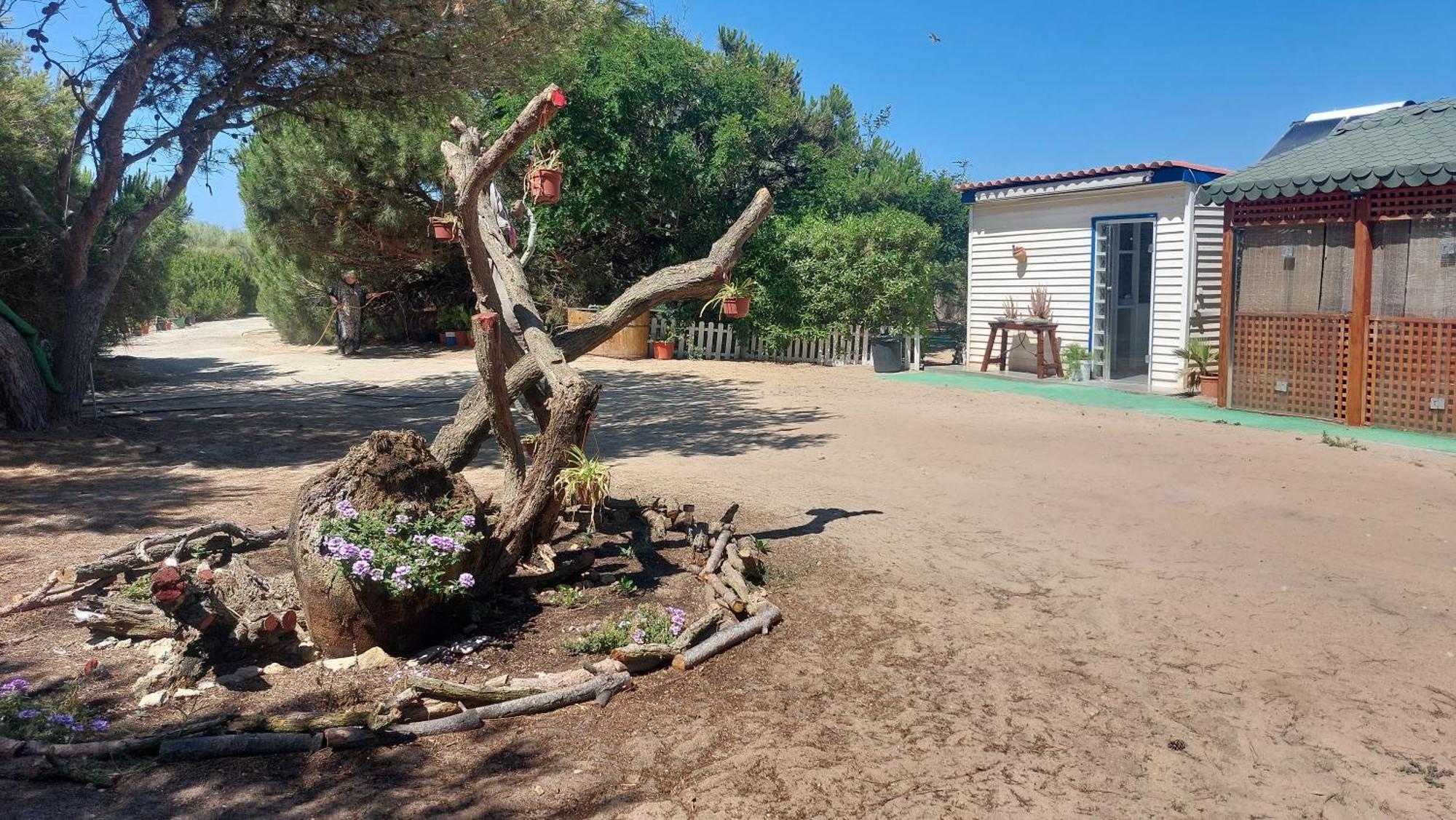 En Finca Las Dunas Dos Chalets Con Jacuzzis En Primera Linea De Playa , Uno De 4 Dormitorios Y Otro De 2 Dormitorios, Llama Al Seiscientos Veintisiete Cuatrocientos Diecisiete Trescientos Noventa Y Ocho Рота Экстерьер фото