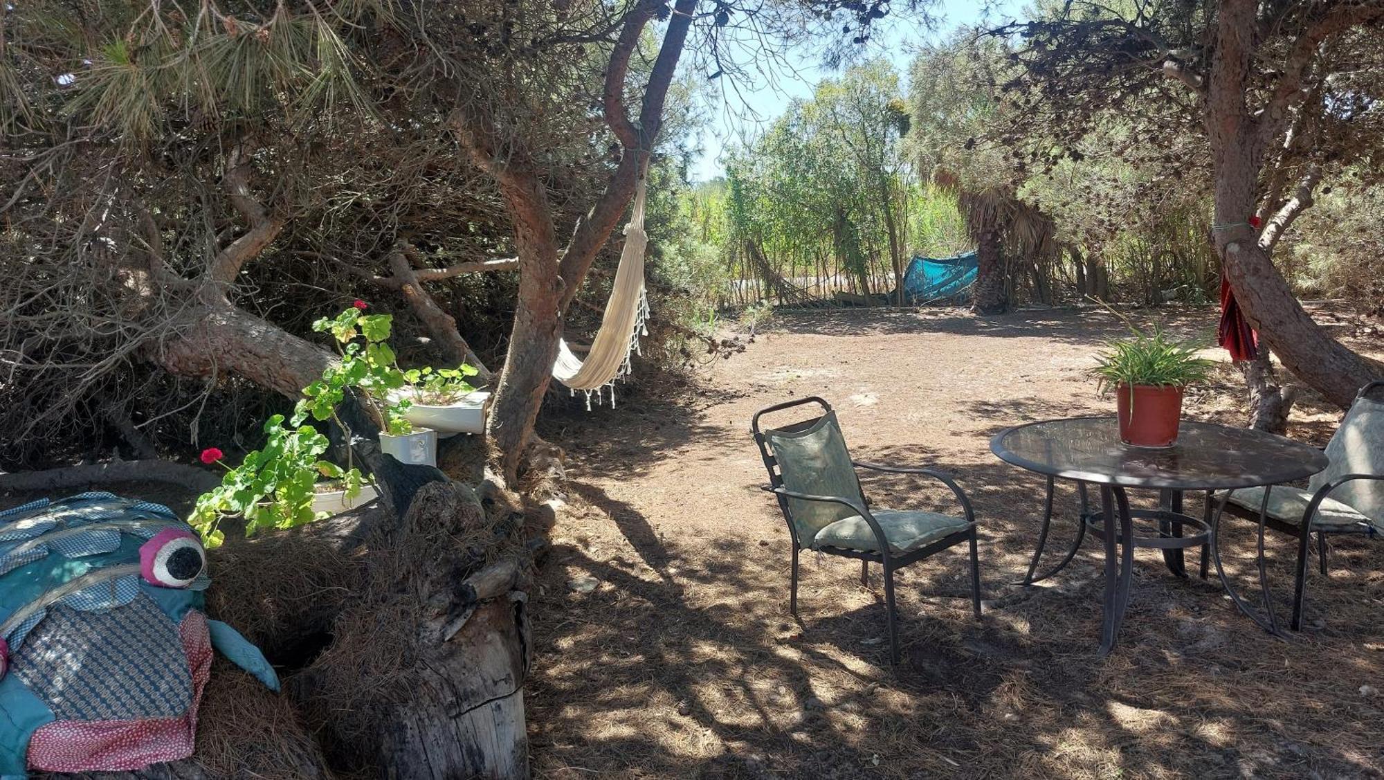 En Finca Las Dunas Dos Chalets Con Jacuzzis En Primera Linea De Playa , Uno De 4 Dormitorios Y Otro De 2 Dormitorios, Llama Al Seiscientos Veintisiete Cuatrocientos Diecisiete Trescientos Noventa Y Ocho Рота Экстерьер фото