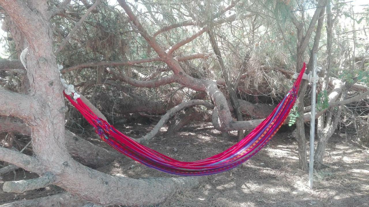 En Finca Las Dunas Dos Chalets Con Jacuzzis En Primera Linea De Playa , Uno De 4 Dormitorios Y Otro De 2 Dormitorios, Llama Al Seiscientos Veintisiete Cuatrocientos Diecisiete Trescientos Noventa Y Ocho Рота Экстерьер фото