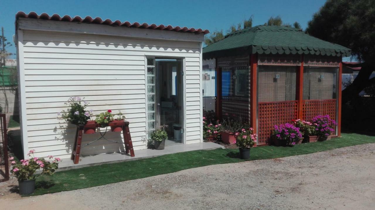 En Finca Las Dunas Dos Chalets Con Jacuzzis En Primera Linea De Playa , Uno De 4 Dormitorios Y Otro De 2 Dormitorios, Llama Al Seiscientos Veintisiete Cuatrocientos Diecisiete Trescientos Noventa Y Ocho Рота Экстерьер фото